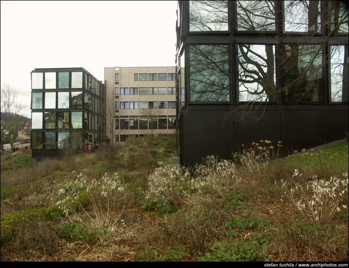 Herzog De Meuron A F A S I A