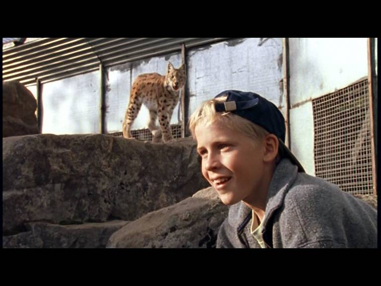 Polish thread - Page 582 - Stormfront