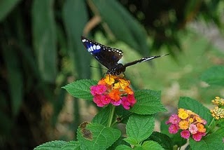 Image Result For Kata Mutiara Istri Terhadap Suami Image Result For Kata Mutiara Istri Terhadap Suami