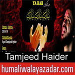 https://www.humaliwalyazadar.com/2018/09/tamjeed-haider-nohay-2019.html