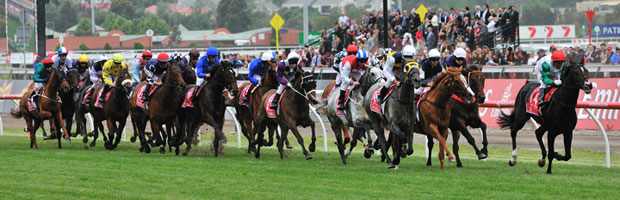 2015 Melbourne Cup Horses Riding in the Field Melbourne Cup 2015