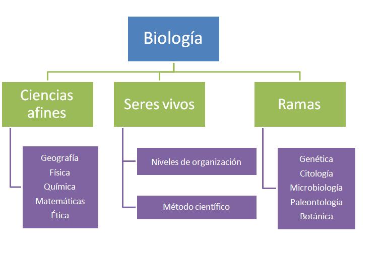 MAPA CONCEPTUAL DE BIOLOGÍA