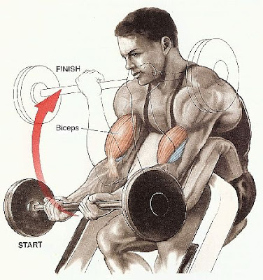 5 Moves Make You Biceps Explode 