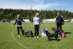 Wachtel utställning, Bullaren 2010