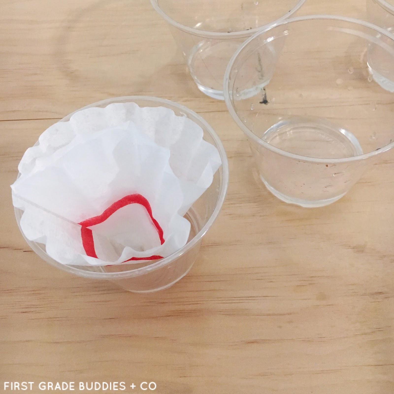 Simple Science Rainbow Coffee Filters First Grade Buddies