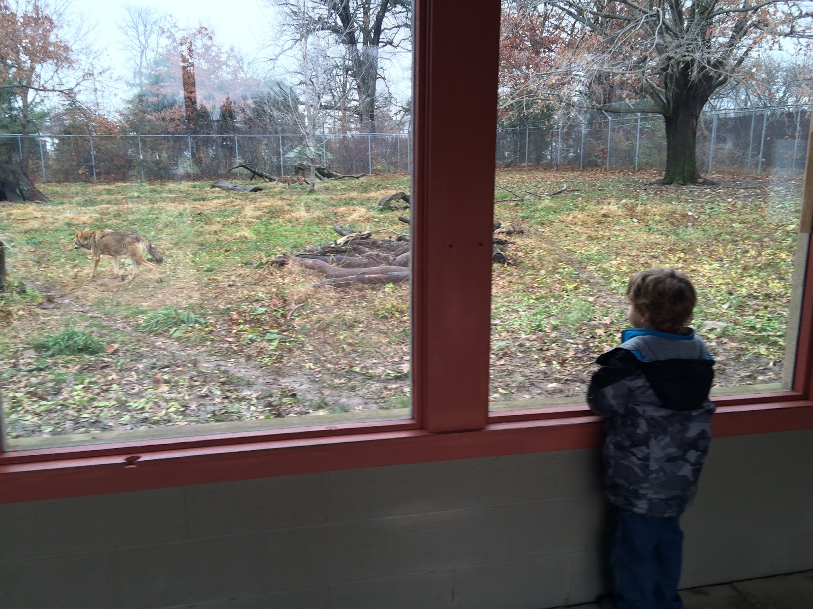 Just picture it... Review Miller Park Zoo