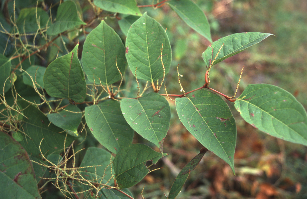 Das Leben Ist Hart Aber Ungerecht April 2012