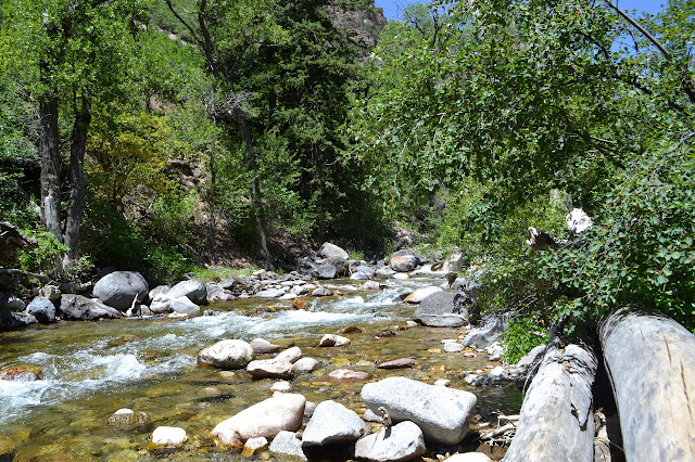 flow of the creek