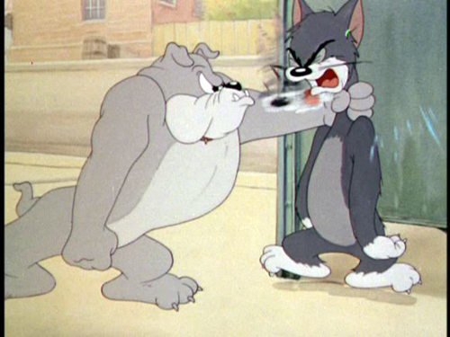 tom and jerry cat and dog