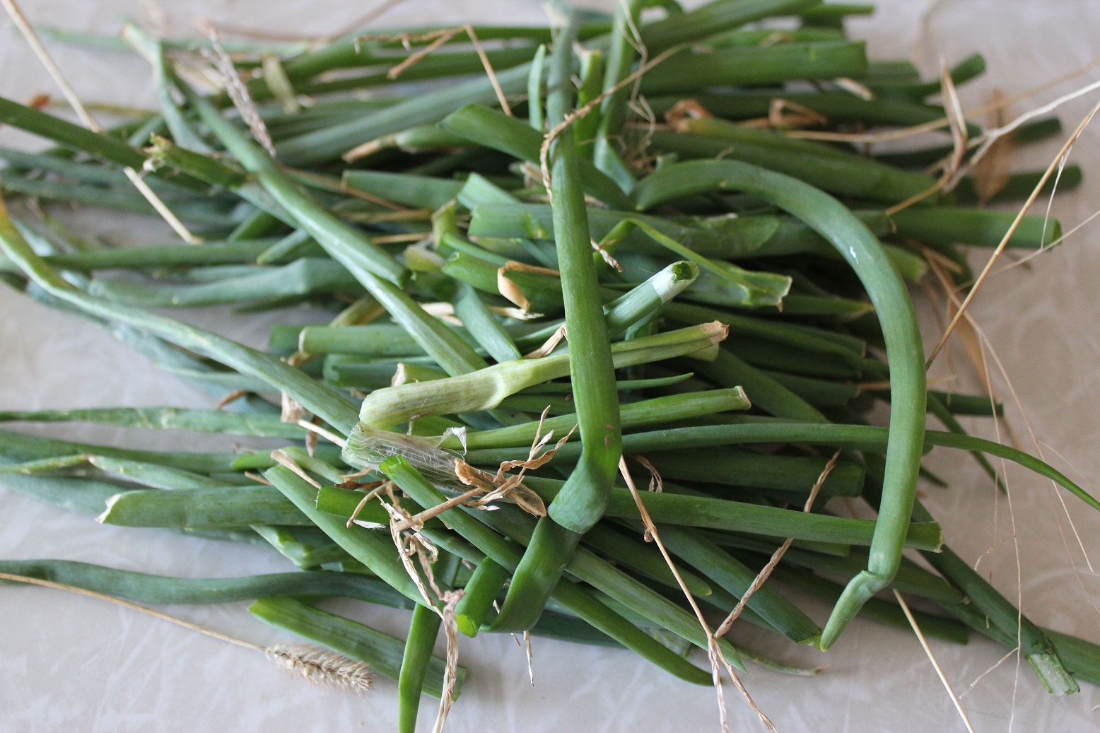 How to (Easily) Freeze Green Onions