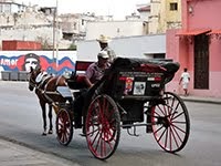 HORSE AND CARRIAGE