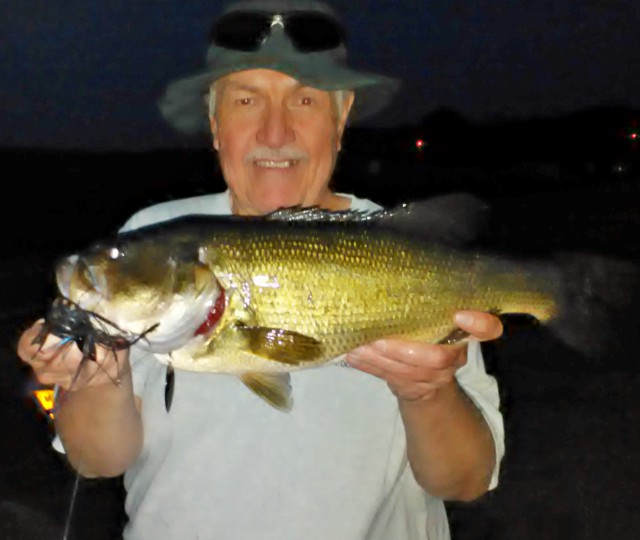 Bass Fishing Tips & Tales Spinnerbaits for the Night Bite
