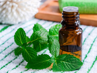 Aceite de Hierbabuena Para Curar Un Herpes Labial Aceite de Hierbabuena Para Curar Un Herpes Labial