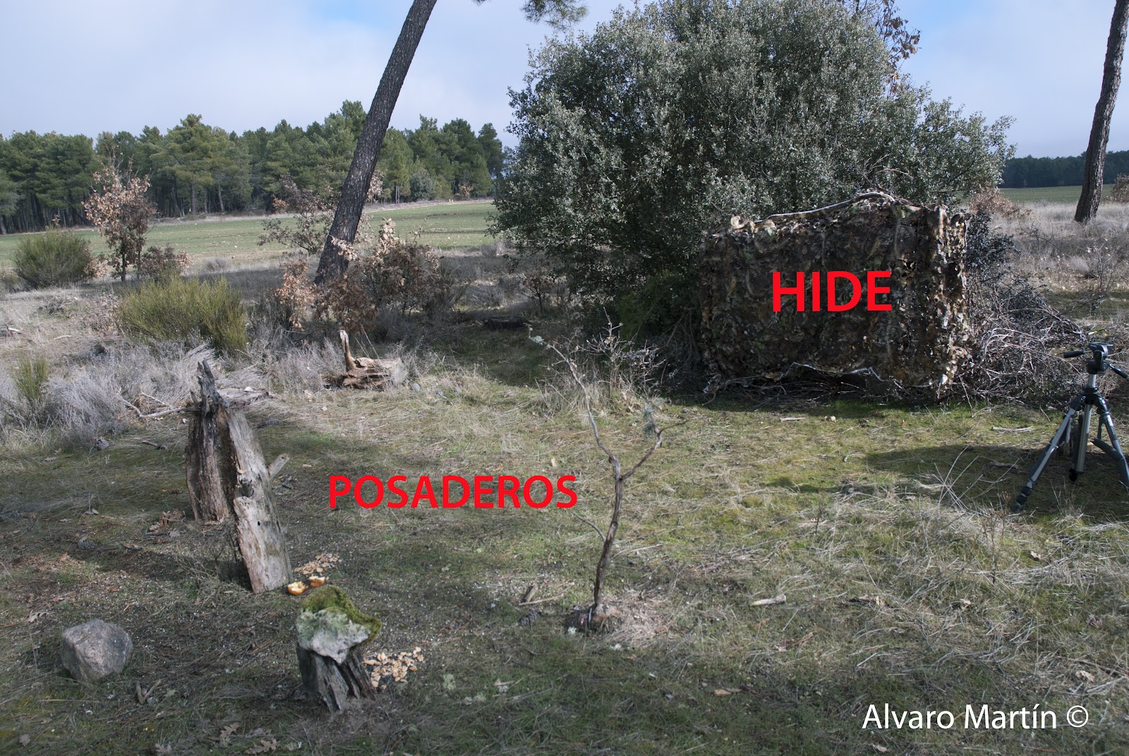 Como construir un hide o escondite – Fotografiando la Naturaleza