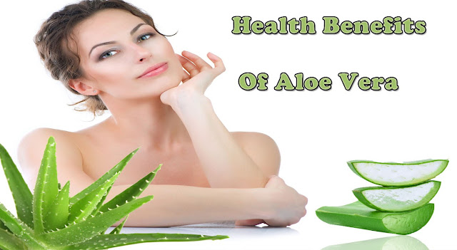 एलोवीरा के आयुर्वेदिक फायदे -Benefits Aloe Bera in Hindi