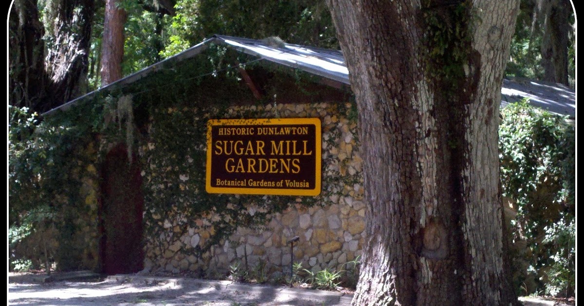 Ruth S Blog Dunlawton Sugar Mill Ruins Botanical Garden