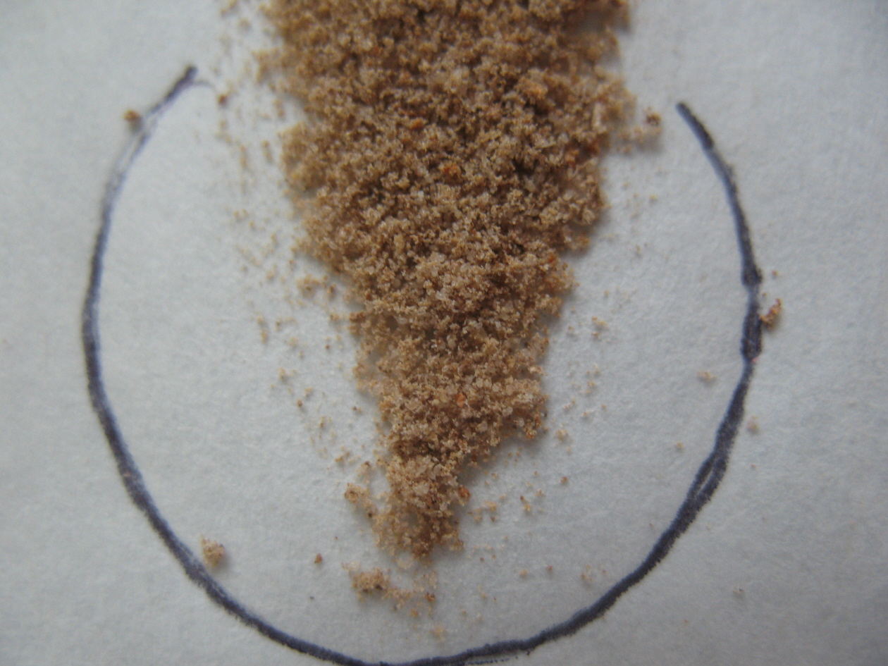 Inilah Cara Membasmi Gurem Pada Jangkrik Hama Yang Menjengkelkan