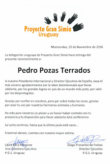 RECONOCIMIENTO POR PARTE DEL PROYECTO GRAN SIMIO URUGUAY