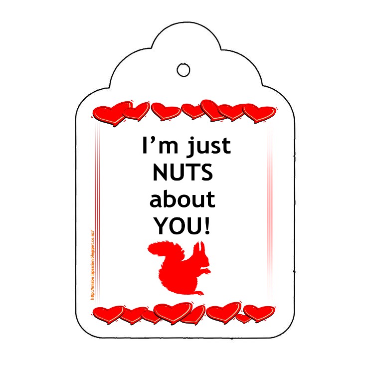 'NUTS about YOU' Valentine Gift Idea.