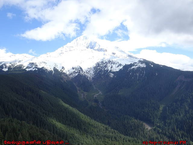 Mt. Hood View from Top Spur Trail