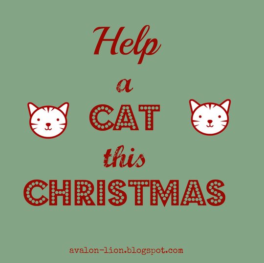 help a cat this christmas