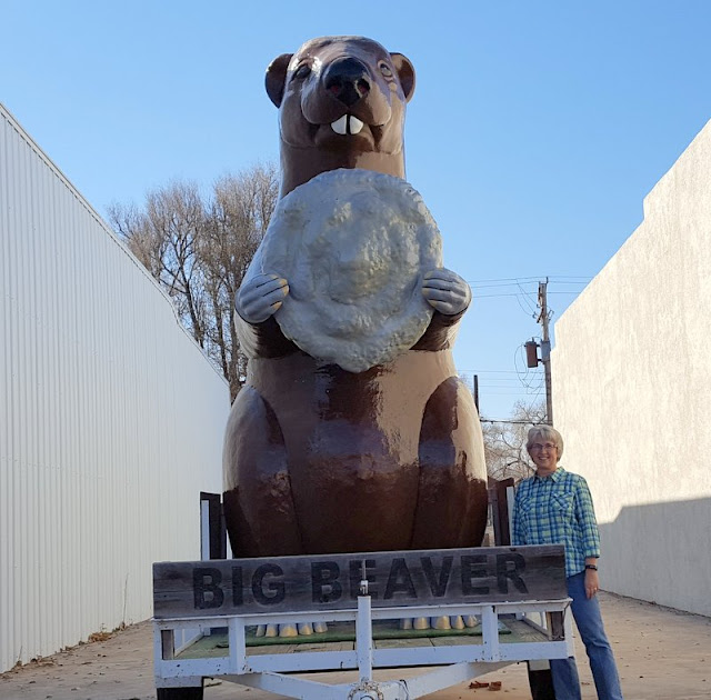Wandering His Wonders Beaver, Oklahoma Cow Chip Capital of the World