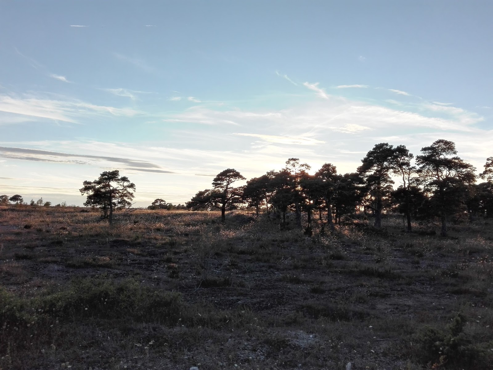 Inima De Tigan Serial Episodul 85