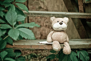 Teddy Bear Images Teddy Bear Images