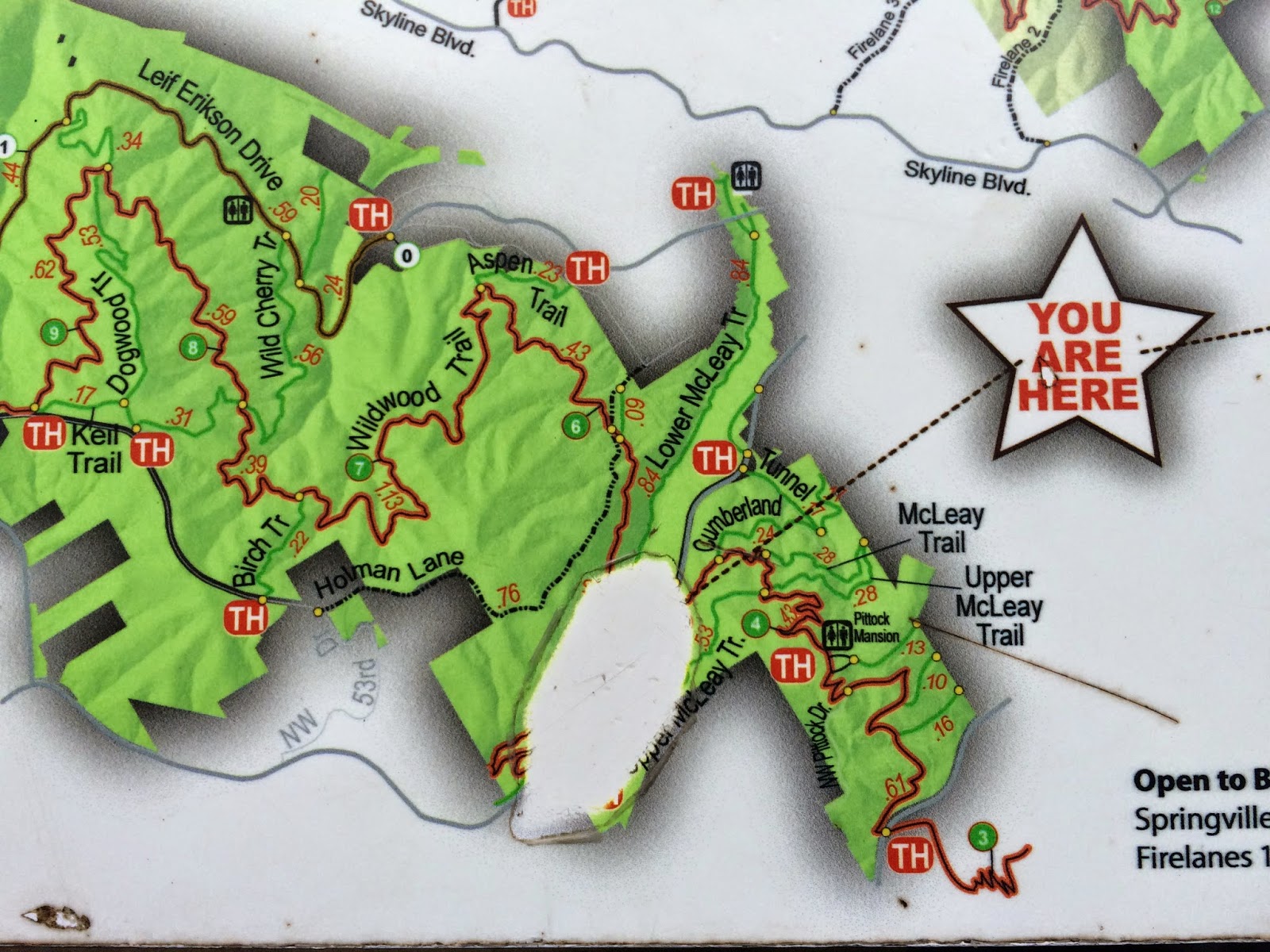 Hiking The Forest Hike 6 Lower Macleay Park