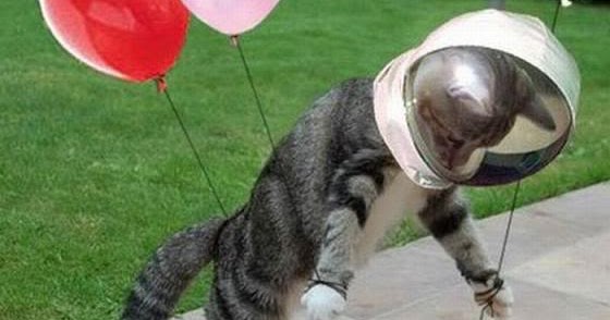 Imagens Para Compartilhar Do Dia Do Astronauta Imagens Engracadas Para Compartilhar No Facebook Twitter E Orkut Somos O Humor No Face