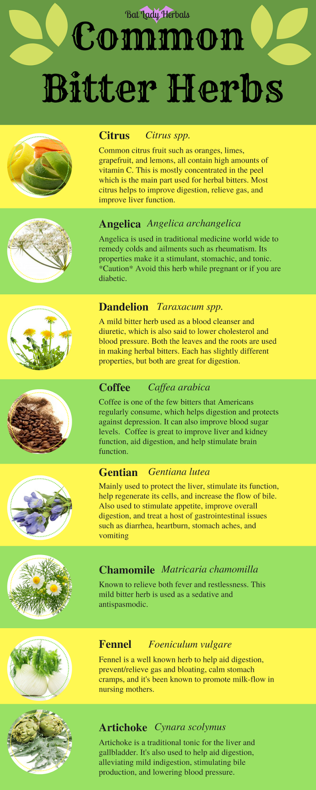 Bat Lady Herbals Herbal Bitters A Brief Introduction