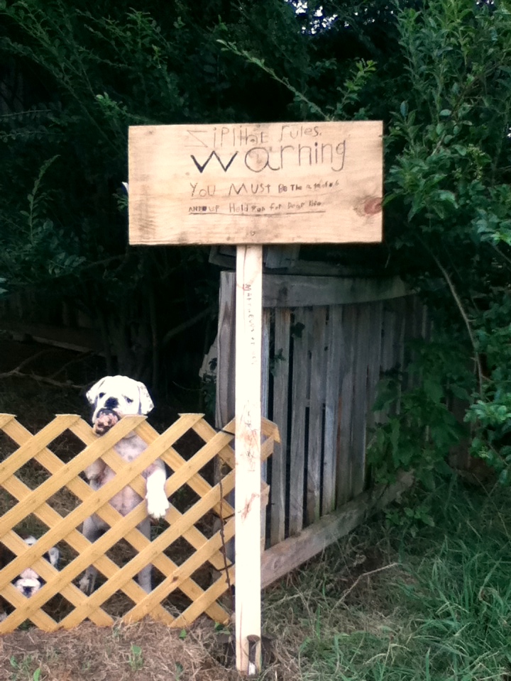 At the Butterfly Ball Zipline Rules