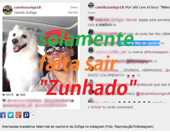 até  cachorro  do jogador Zuñiga ... "sofre  ofensas na web "