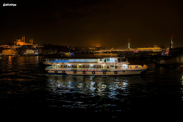 Estambul - Recuerdo de Constantinopla - Blogs de Turquia - Crucero por el Bósforo y la noche turca (9)