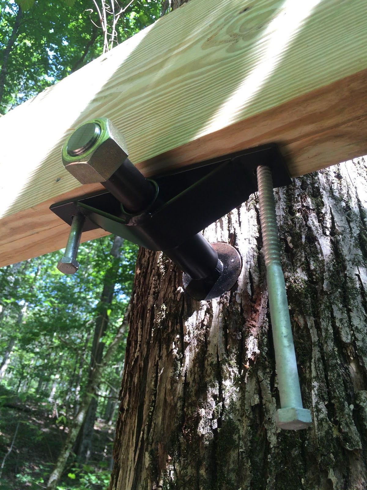 Tree House Tree House Start 5/31/15