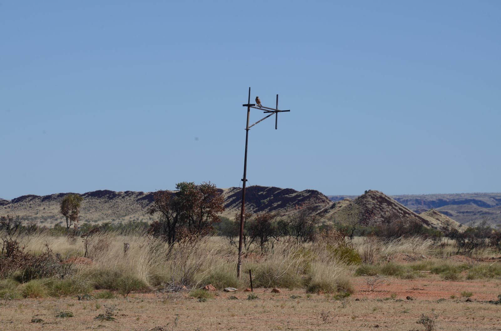 Windsock remains