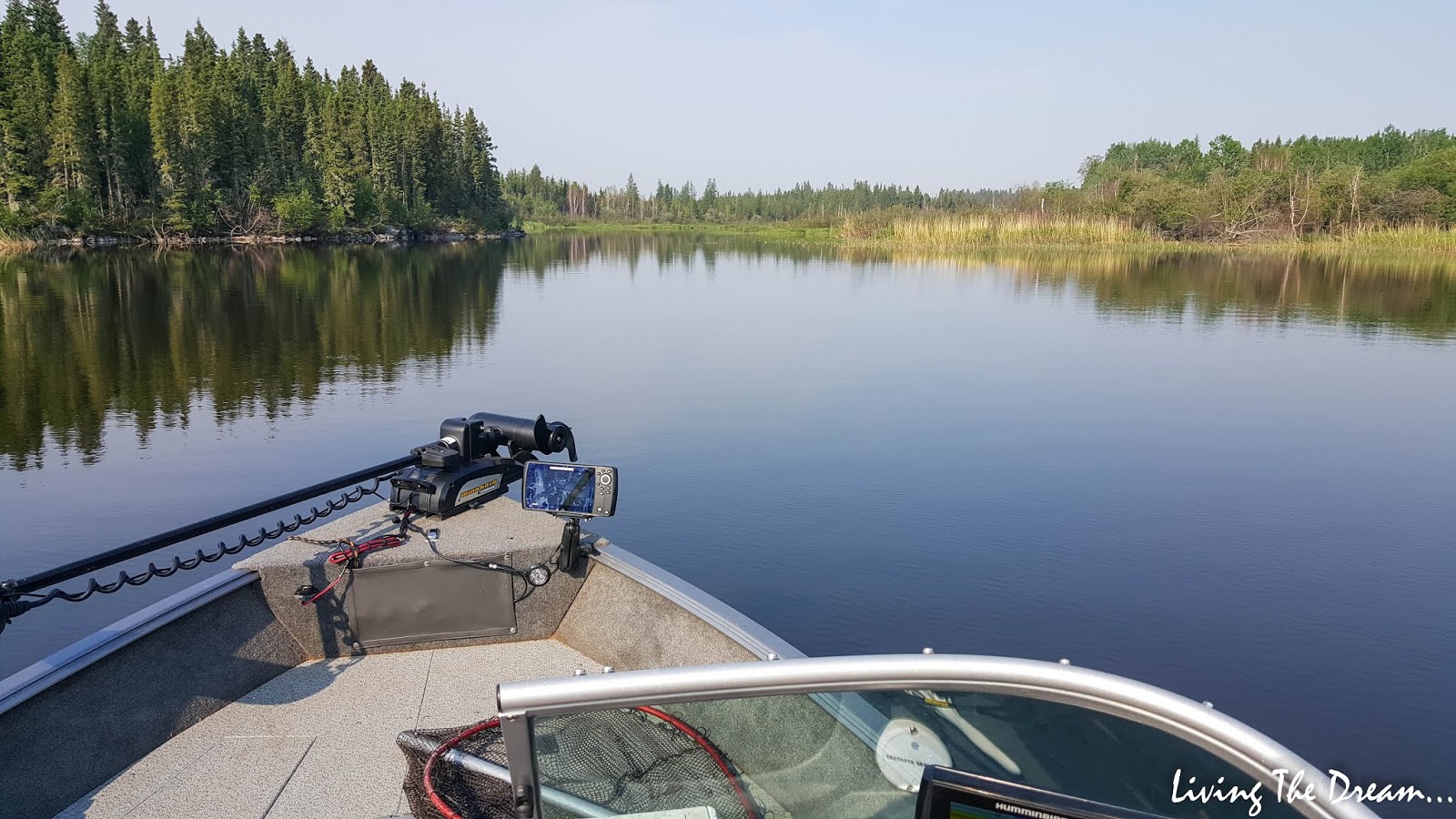 Living the Dream... Friday, June 15 to Thursday, June 21, 2018 (Reed