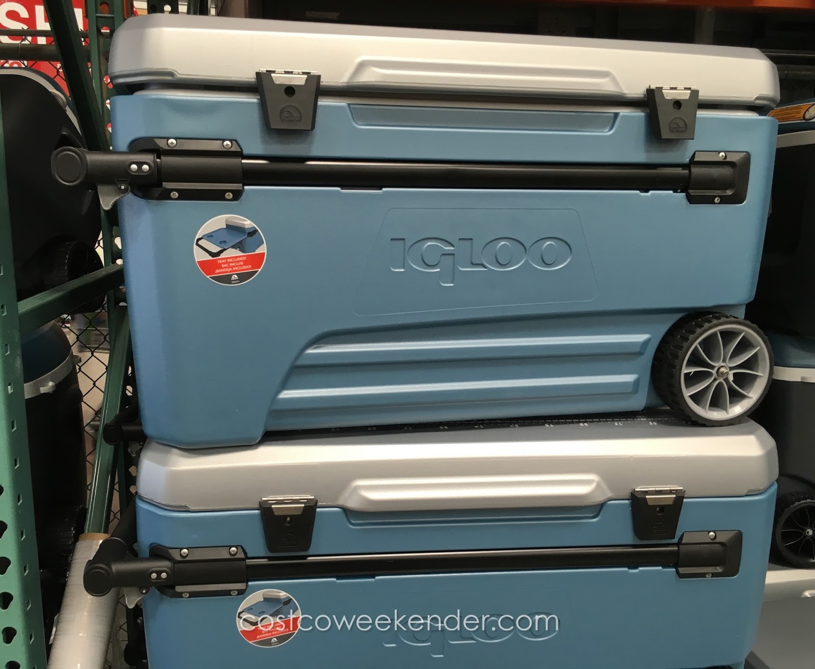 Igloo Maxcold Glide Rolling Cooler (110 qrt) Costco Weekender