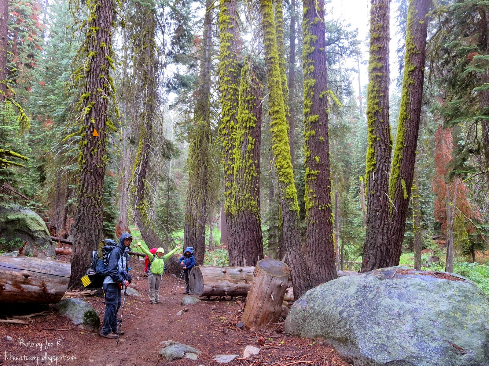 Hike. Eat. Camp. Repeat. High Sierra Trail Part 1 Lodgepole