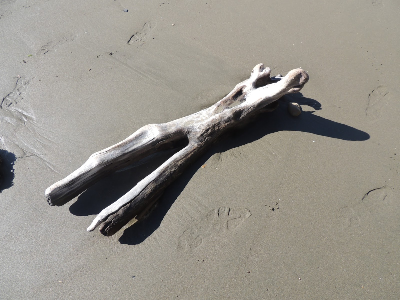 THE ROAD TAKEN On Golden Bay