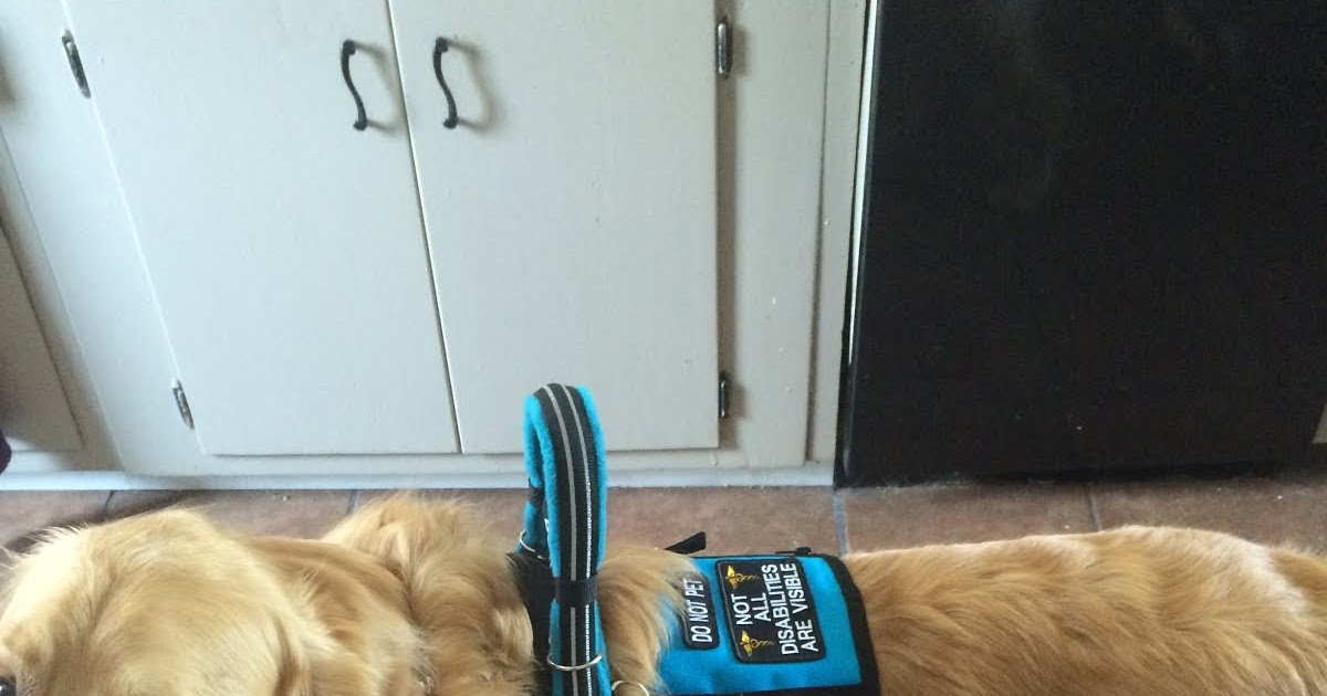 Living the Chronically Wonderful Life POTS, EDS, gastroparesis, and Chiari Mobility Service