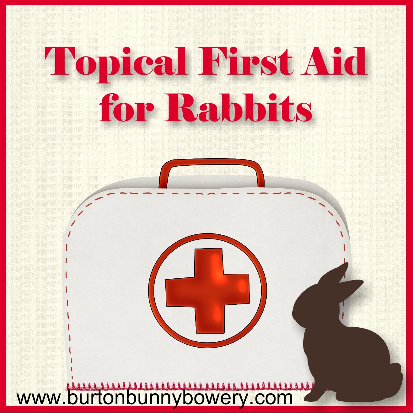Burton Bunny Bowery Rabbit Topical First Aid What to Keep in Your Kit