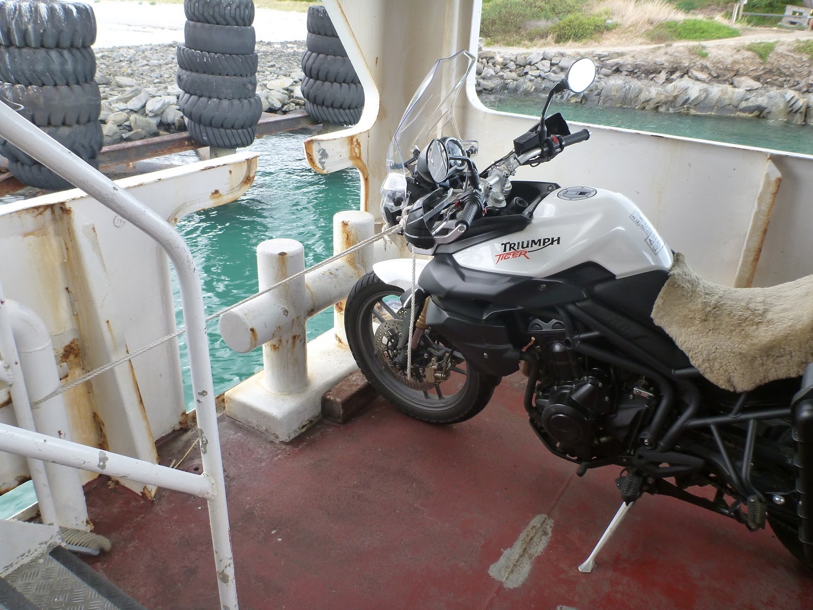 what-we-do-is-who-we-are-adelaide-ride-on-the-tiger-800