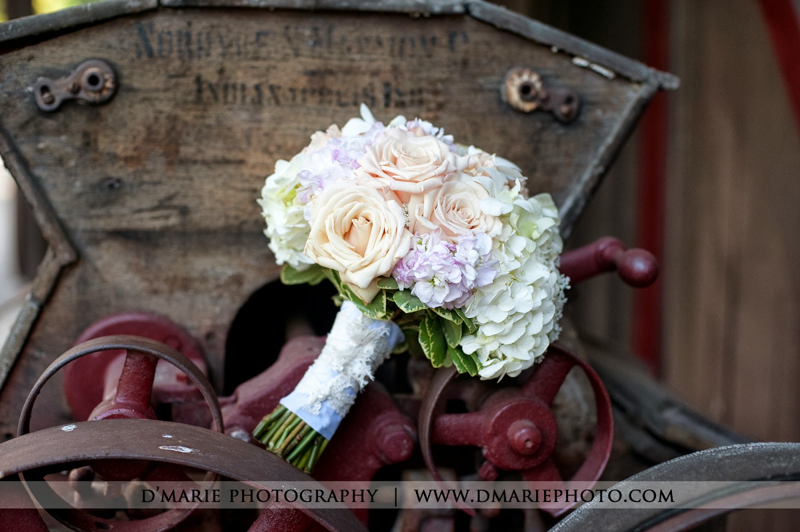 D'Marie Photography B L O G Lilly & Jeremy's Wedding at the Daisy