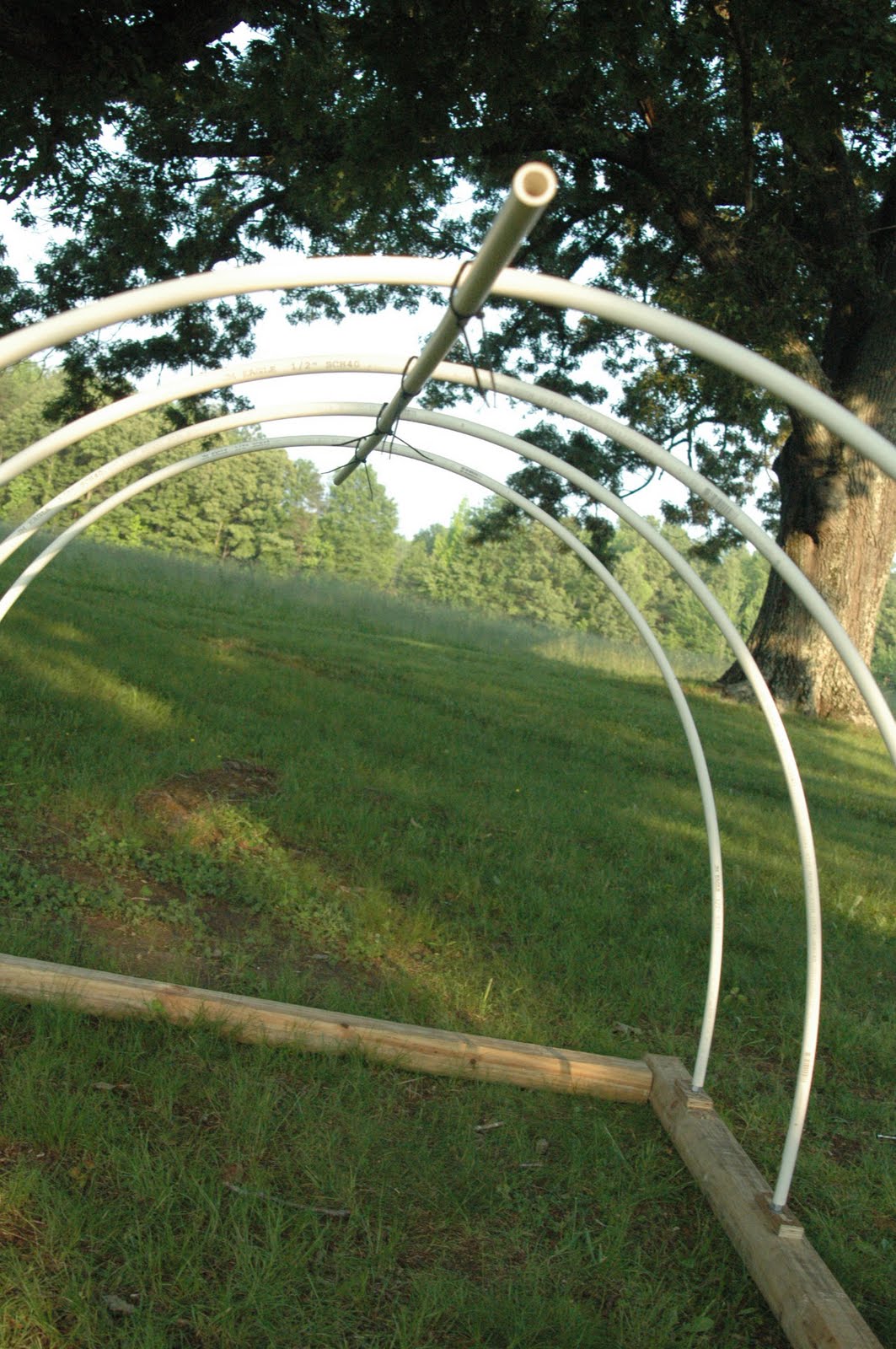 Pvc Pipe Tarp Shelter