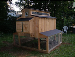 chicken coop plans coops progress backyardchickens backyard chickens hi folks welcome rhode island raised credit farming space
