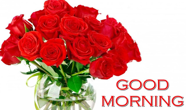 good morning images with rose flowers good morning images with rose flowers