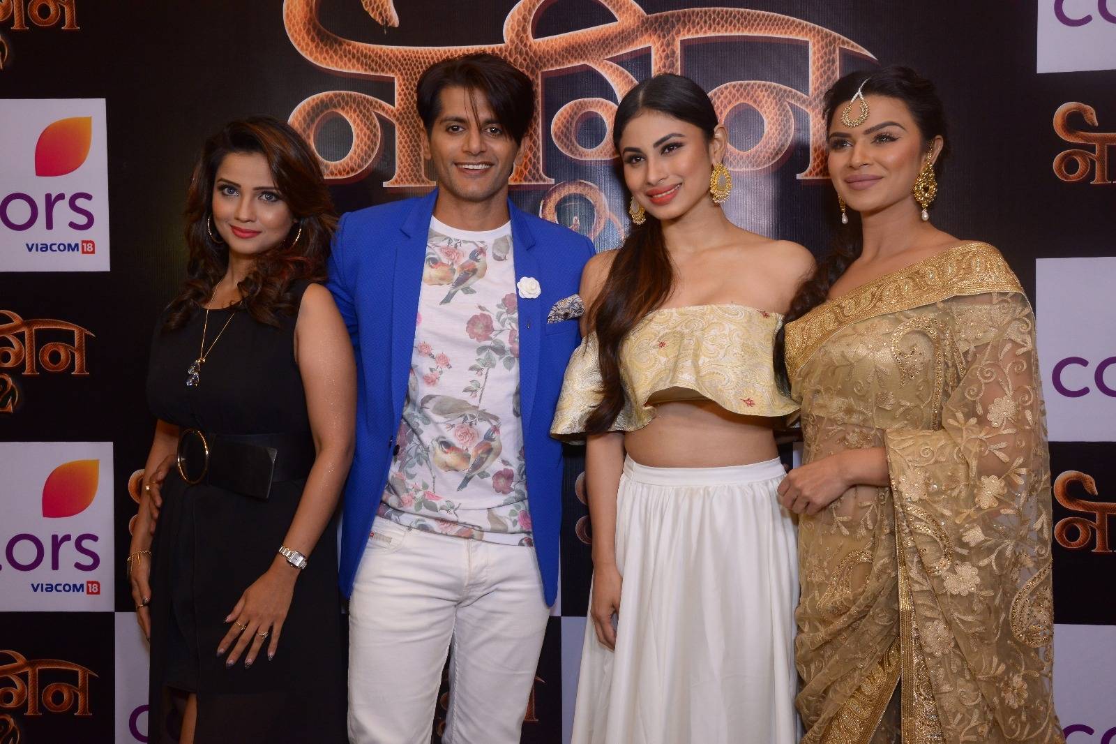 Colours TV Show Nagin 2 star cast Photo