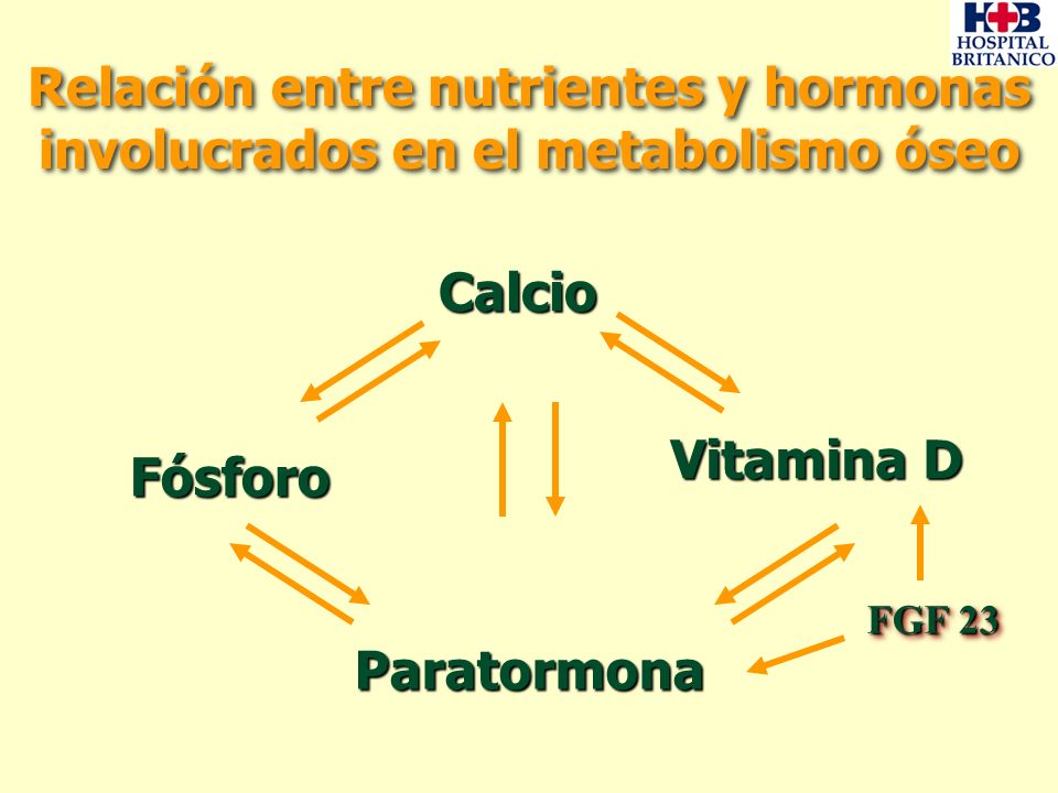 dieta del metabolismo métodos de mejora