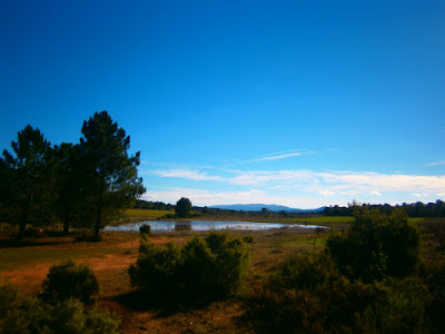 las lagunas de talayuelas, autor, miguel alejandro castillo moya las lagunas de talayuelas, autor, miguel alejandro castillo moya